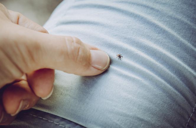 Wreszcie odkryto lek na boreliozę. Ma działać szybko i skutecznie